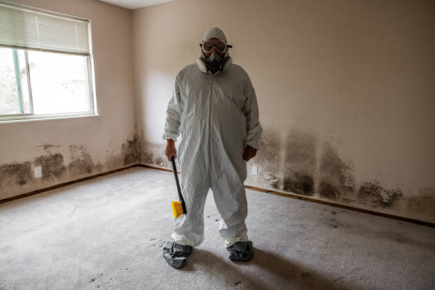 Best Industrial Mold Remediation in Colmar Manor, MD